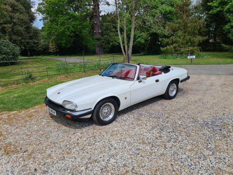 XJS XJS