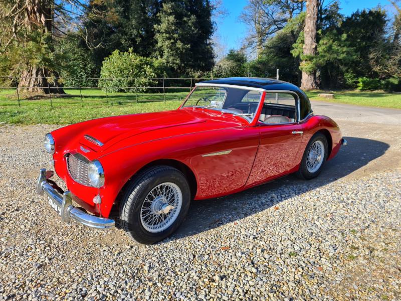 austin healey