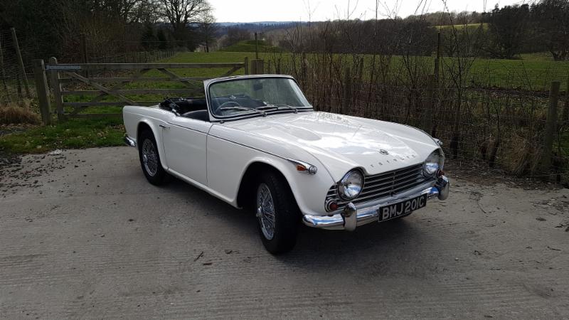 TR4A TR4A