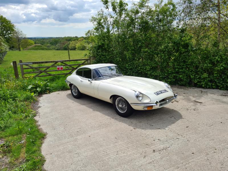 white e-type