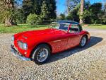 austin healey