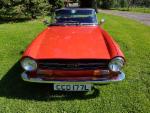 CCD 177L Triumph TR6