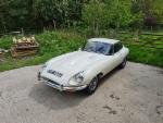 white e-type