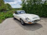 white e-type