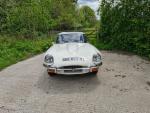 white e-type