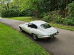 white e-type