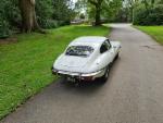 white e-type