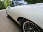 white e-type