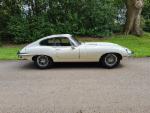 white e-type