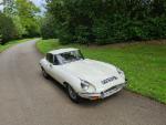 white e-type