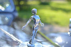 Triumph motor cars motif Triumph motor cars motif
